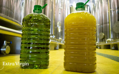 Filtered or unfiltered olive oil?